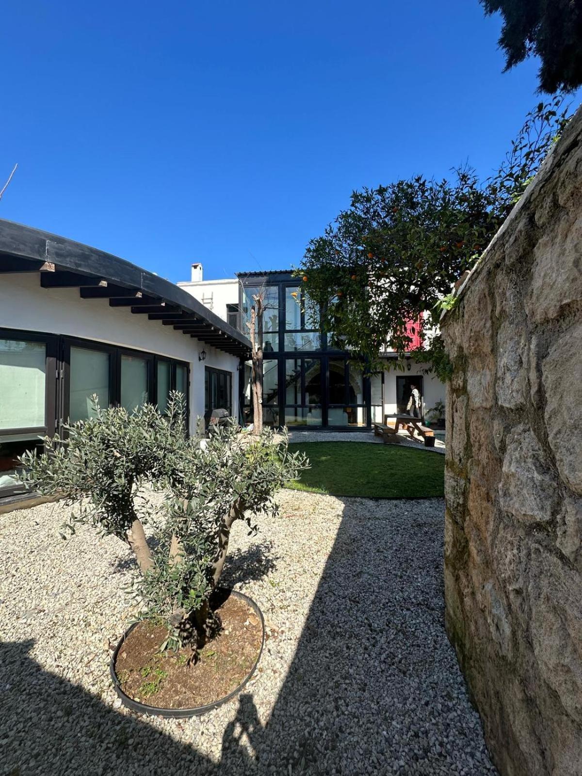 Olive House Villa Kyrenia  Ngoại thất bức ảnh